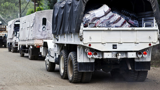 Humanitarian Logistics Initiative